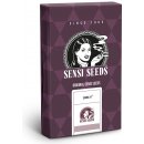 Sensi Seeds Super Skunk Automatic semena neobsahují THC 3 ks