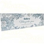 Biogena Magická zima vánoční kazeta čajů 4 x 12 ks – Hledejceny.cz