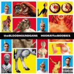 Bloodhound Gang Hooray For Boobies 2 LP – Hledejceny.cz
