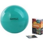 PEZZI GymBall 65 cm – Zboží Dáma
