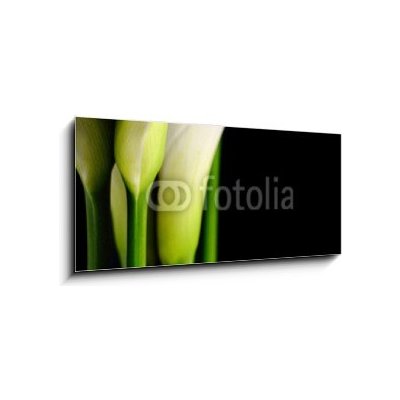 Skleněný obraz 1D panorama - 120 x 50 cm - Beautiful white Calla lilies with reflection on black background Krásné bílé Calla lilie s odrazem na černém pozadí – Zboží Mobilmania