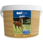 NutriHorse Standard 1 kg – Zboží Dáma