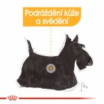 Royal Canin Mini Dermacomfort 0,8 kg – Hledejceny.cz