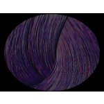 La Riché Directions Deep Purple 89 ml – Sleviste.cz