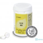 Radim Bakeš Galenická laboratoř Ostrava AKH Sulfur 60 tablet – Hledejceny.cz