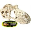 Komodo lebka T-Rex S 15x8x8 cm