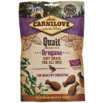Carnilove Soft Snack Quail & Oregano 200 g – Zboží Dáma Carnilove Soft Snack Quail & Oregano 200 g – Zboží Dáma