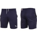Puma teamRISE Training Shorts – Zboží Mobilmania