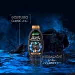 Garnier Botanic Therapy Magnetic Charcoal šampon 400 ml – Zboží Dáma