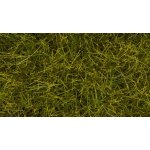 Noch Statická tráva divoká XL Louka 12 mm – Zboží Dáma