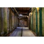 Dimex MS-5-0845 Vliesová fototapeta Blok vězení rozměry 375 x 250 cm – Hledejceny.cz