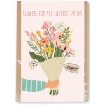 Blossombs Semínkové bomby - Dárková sada mini "Pro nejlepší maminku"- Kytice (4 ks) - vhodné do volné půdy i květináče – Zboží Mobilmania