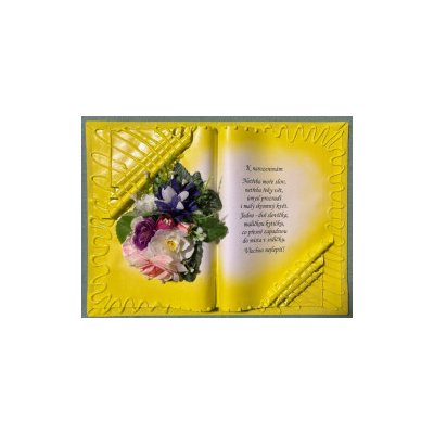 K narozeninám 1 – Zboží Dáma