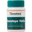 Himalaya Rumalaya Forte 60 tablet