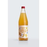 Moštárna Hostětín mošt jablko zázvor Bio 750 ml – Zboží Dáma
