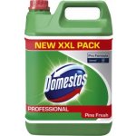 Domestos Pine Fresh 5 l – Zboží Dáma