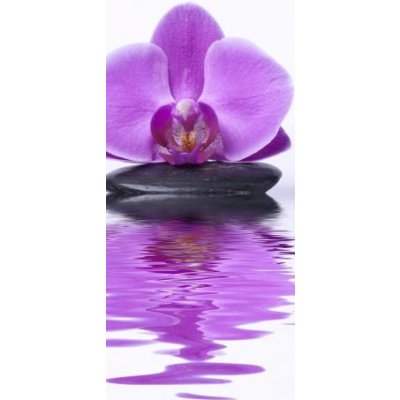 WEBLUX 31119254 Samolepka na lednici fólie benessere e terapia kvést orchidea jádro rozměry 80 x 200 cm – Zboží Mobilmania