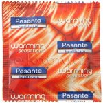 Pasante Warming 1ks – Sleviste.cz