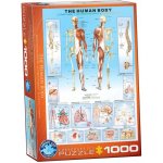 EuroGraphics Lidské tělo 1000 dílků – Sleviste.cz