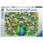 RAVENSBURGER Páv 2000 dílků – Zboží Dáma