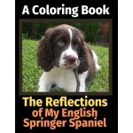The Reflections of My English Springer Spaniel: A Coloring Book Activity Books BrightviewPaperback – Hledejceny.cz