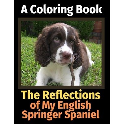 The Reflections of My English Springer Spaniel: A Coloring Book Activity Books BrightviewPaperback – Hledejceny.cz