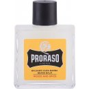 Proraso Wood & Spice balzám na vousy 100 ml