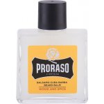 Proraso Wood & Spice balzám na vousy 100 ml – Zbozi.Blesk.cz