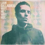 Gallagher Liam - Why Me? Why Not / Vinyl – Sleviste.cz