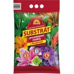 Forestina Hoštický Pro pokojové rostliny 5 l – Zboží Dáma