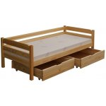 BRADOP LEONKA L927 Borovice přírodní – Sleviste.cz