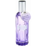 Esprit Provence Levandule toaletní voda dámská 100 ml – Hledejceny.cz