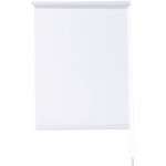 LIVARNO home Roleta 60 x 150 cm bílá – Zboží Mobilmania