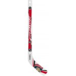 InGlasCo Mini NHL, Florida Panthers – Zboží Mobilmania