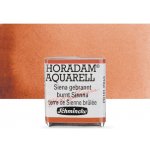 Schmincke Horadam akvarelové barvy v poloviční pánvičce 661 pálená sienna – Hledejceny.cz