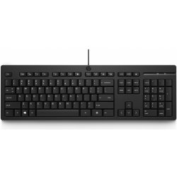 HP 125 Wired Keyboard 266C9AA#ACB