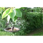 MISCELLANEOUS Litinová Lázeň pro ptáčky 23 x 8 cm – Zboží Dáma MISCELLANEOUS Litinová Lázeň pro ptáčky 23 x 8 cm – Zboží Dáma