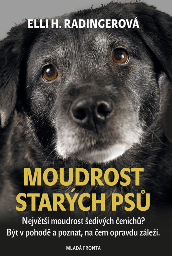 Moudrost starých psů