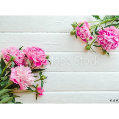 WEBLUX 313371368 Samolepka fólie Pink peony flowers on white wooden table. womans day or wedding background. Top view. Květy růžové pivoky na bílém dřevěném stole. Zens rozměry 270 x 200 cm – Hledejceny.cz