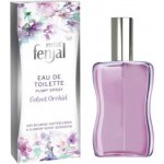 Fenjal Miss Fenjal Velvet Orchid Miss Fenjal Velvet Orchid toaletní voda dámská 50 ml – Hledejceny.cz