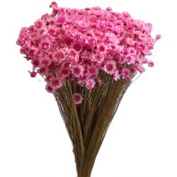 Sušené slaměnky Glixia 50g kytička - růžové