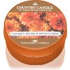 Svíčka Country Candle Golden Mums & Honeycrisp 35 g