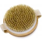 Popron.cz Kartáč na suché kartáčování těla - CELLUBROOM – Zbozi.Blesk.cz