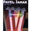 Kniha Pavel Janák - Norbert Kiesling