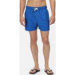 Regatta pánské koupací šortky Mawson SwShort II RMM011 – Sleviste.cz