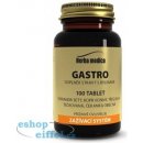 Herba Medica Gastro 50 g 100 tablet