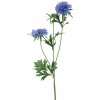 Květina Hlaváč - Scabiosa diamant fialový (lavender) V72 cm (N968434)