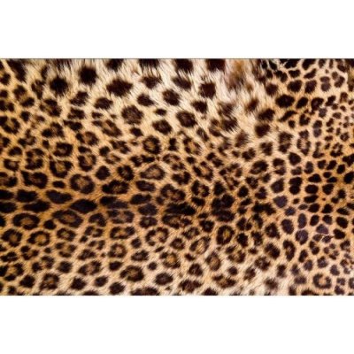 Dimex MA-5-0184 Samolepicí vliesová fototapeta na zeď Leopardí kůže rozměry 375 x 250 cm – Zbozi.Blesk.cz