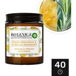 Botanica by Air Wick Fresh Pineapple & Tunisian Rosemary 205 g – Hledejceny.cz