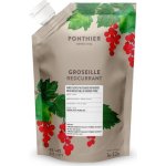 Ponthier ovocné pyré červený rybíz 90% 1 kg – Hledejceny.cz